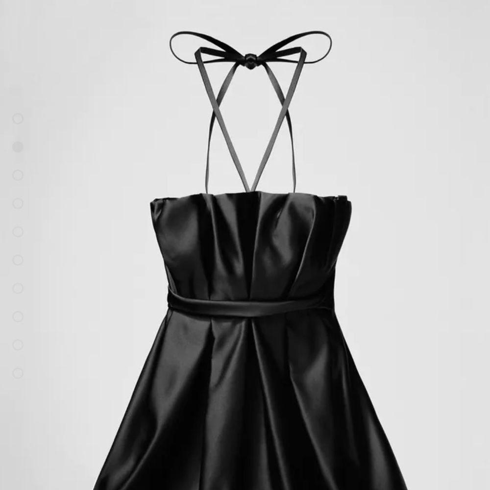 Zara dress